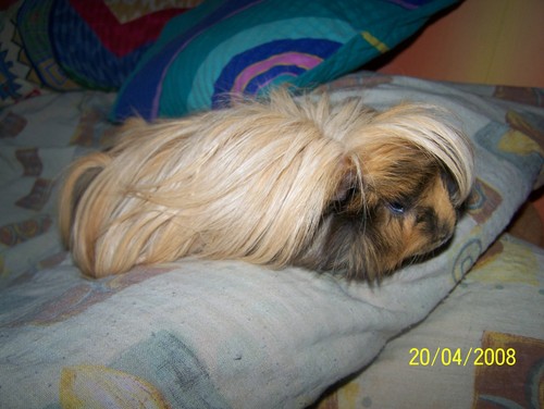 moja winka:*