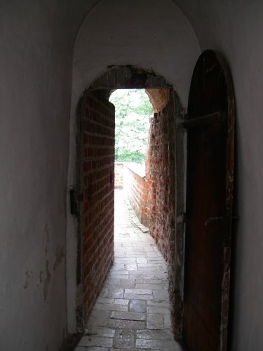 Wyjcie