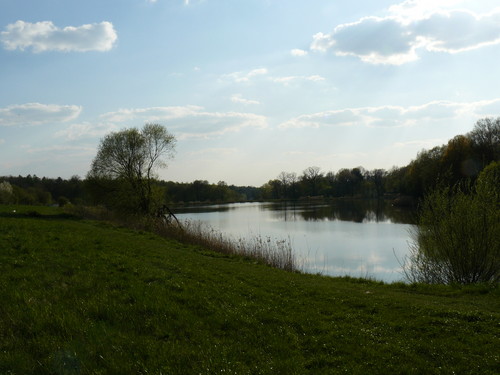 Pikniejsze strony Poniatowej 4