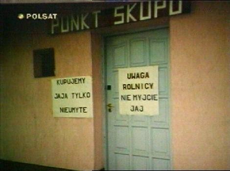 Punk skupu.