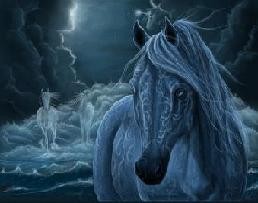 Luna - obroca