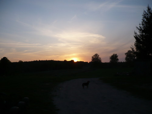 straszne:)
