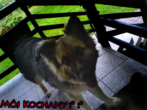 Mj ukochany :*