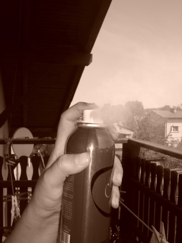 zapachy