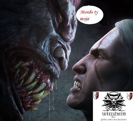 The Witcher