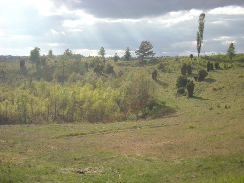 pieko