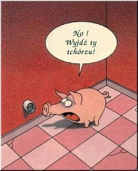 No Wanie, Wyjdz!!!!
