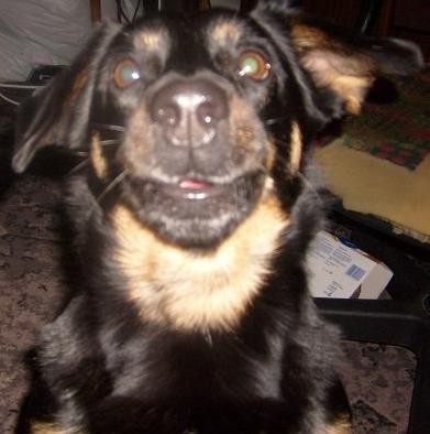 30.12.2007 xD