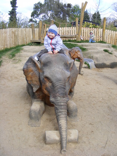  Zoo   c.d 