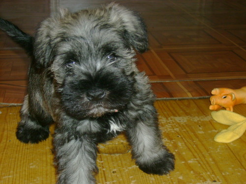 RuFFi ;*