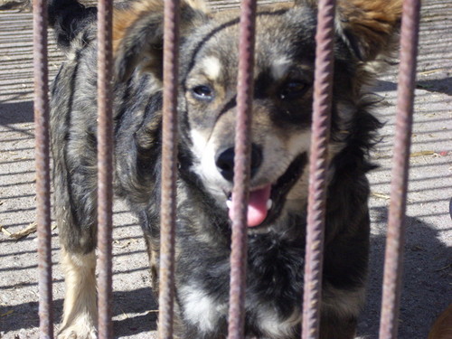 Rita:))