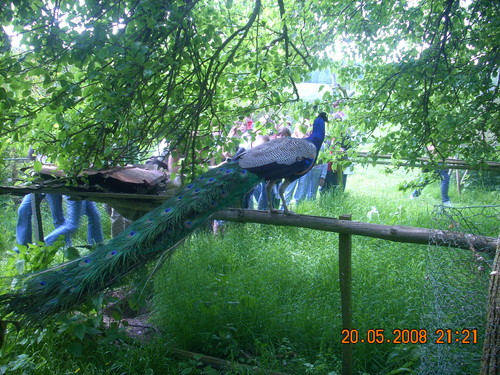 z wycieczki?:)