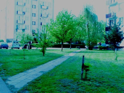 'wiat sw.'