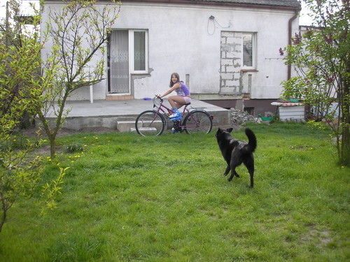 ja ...!!! *** miesznie z psem