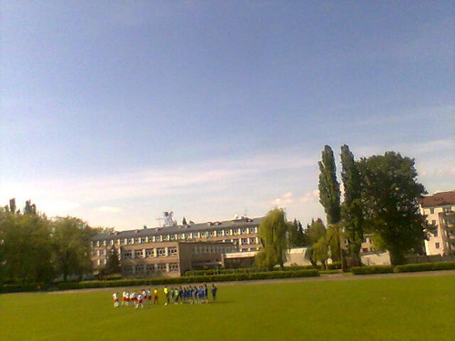 Lewart 0 Widok 2