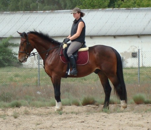 Rhythm of Zenith :)