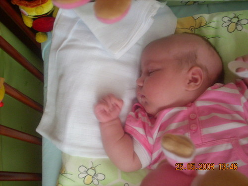 Hania