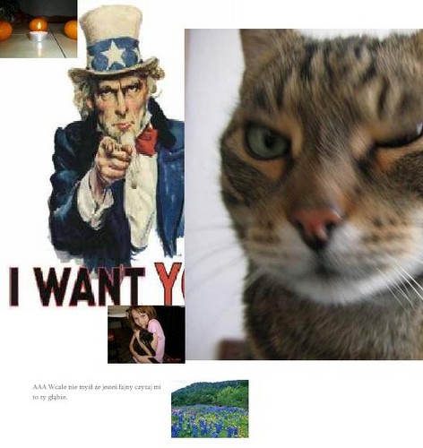 .............