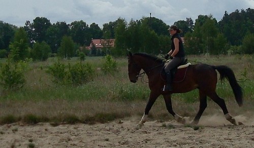 Rhythm of Zenith :)