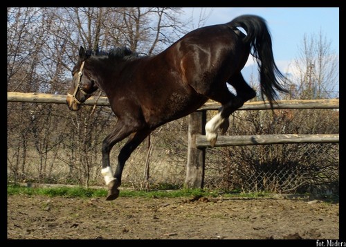Bryku, bryk :)