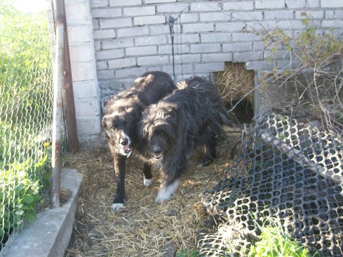 PEREKA I MAX!!!