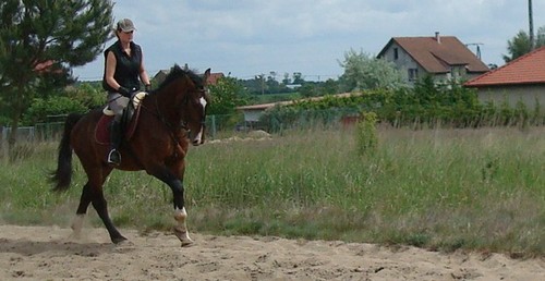 Rhythm of Zenith :)