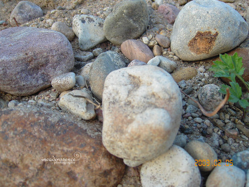 III