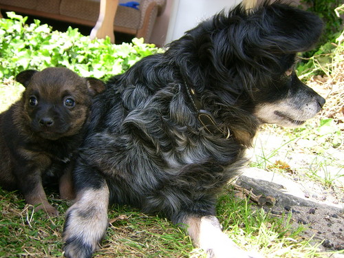 Dina & Gutek