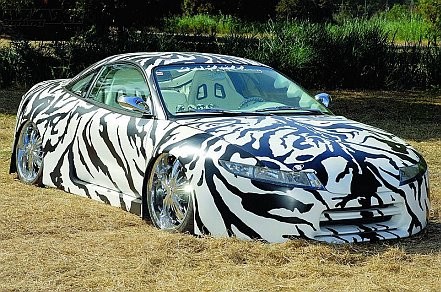 pantera