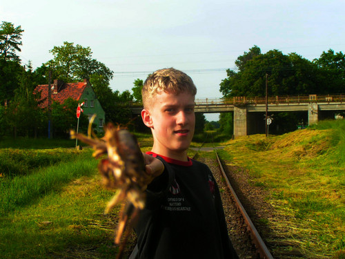 Czubek ^^