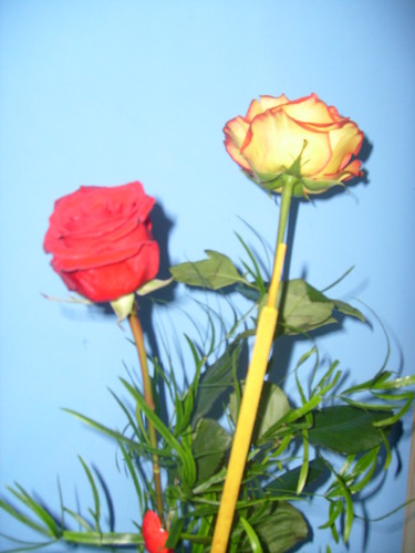 re