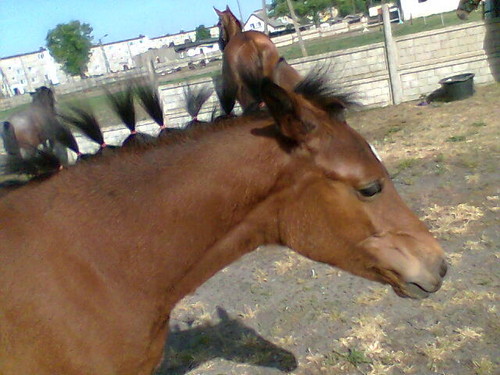 Heroinka :* (Heaven)