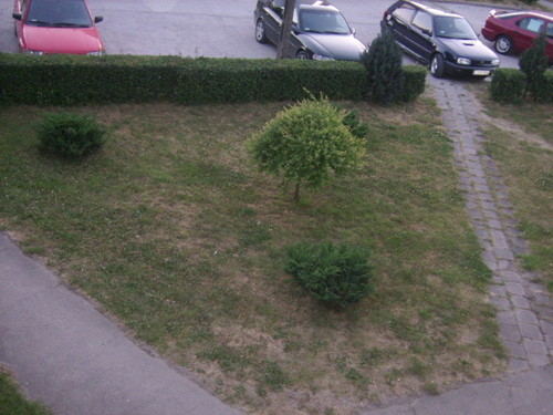 WIDOK Z OKNA :)