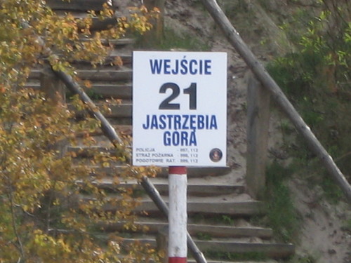 Jastrzbia Gra 17 V - 28 V 2008