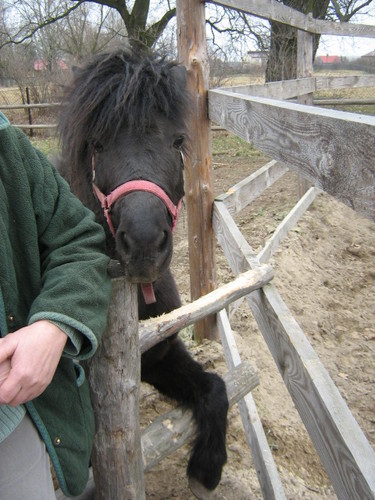 Bilu ;D
