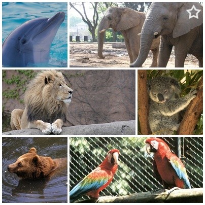 z zoo ;D
