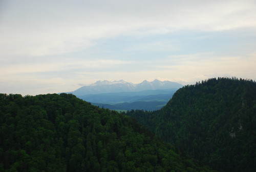 tatry. 