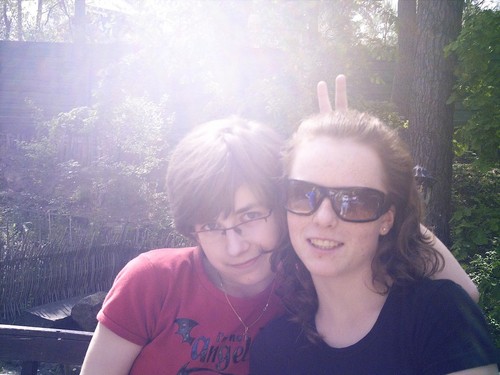 piwak gawrychy 2008 