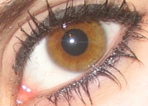 My eyes!!!