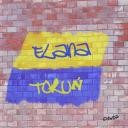 elana torun