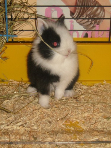 MoooJA KoooFANA PSoooTKA...:*