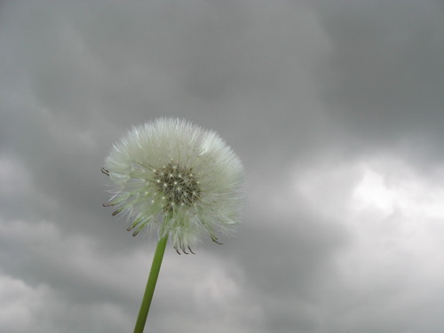 98