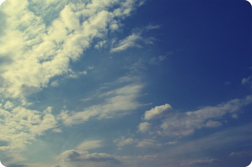skyy