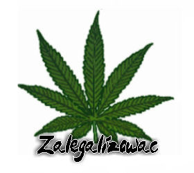 Zalegalizowa... xD
