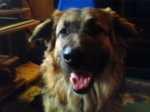 My Dogg < 3