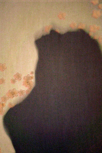 Shadow nr2