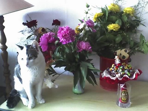 8nacie wiosenek ;D (dorosa ^^)