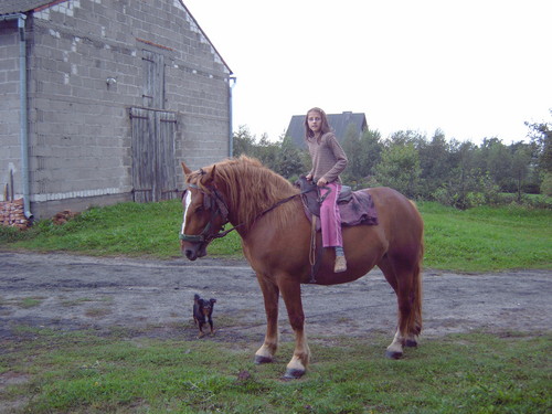 Paulinka :)