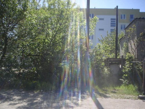 Widok