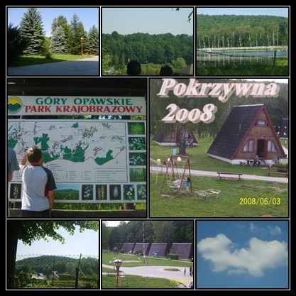 Pokrzywna 2008